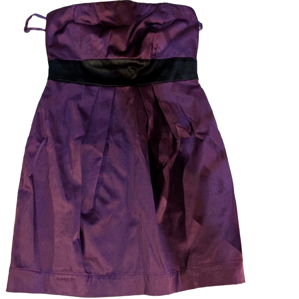 Purple Strapless Dress with Black Waistband
